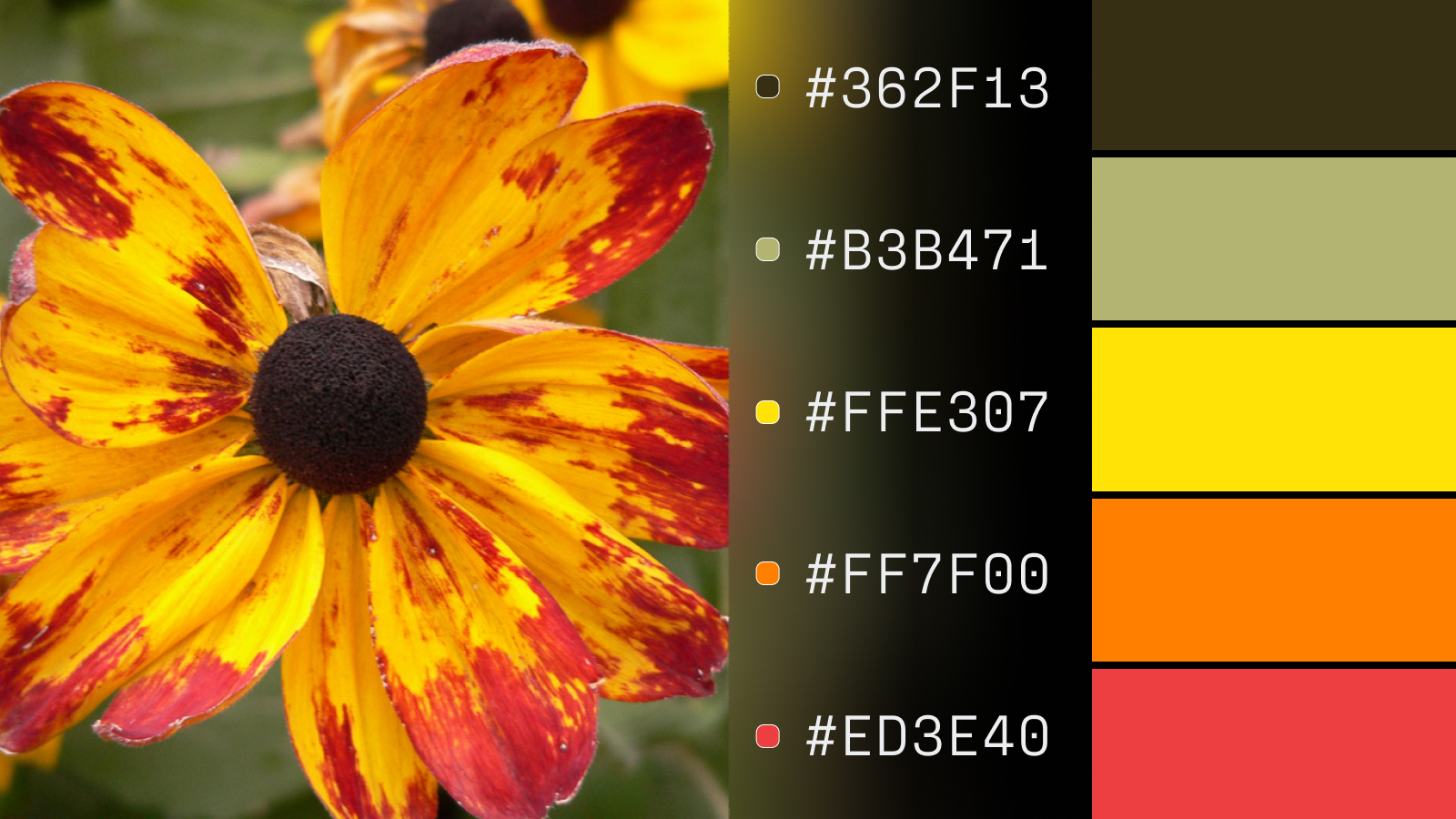 Color_Extraction