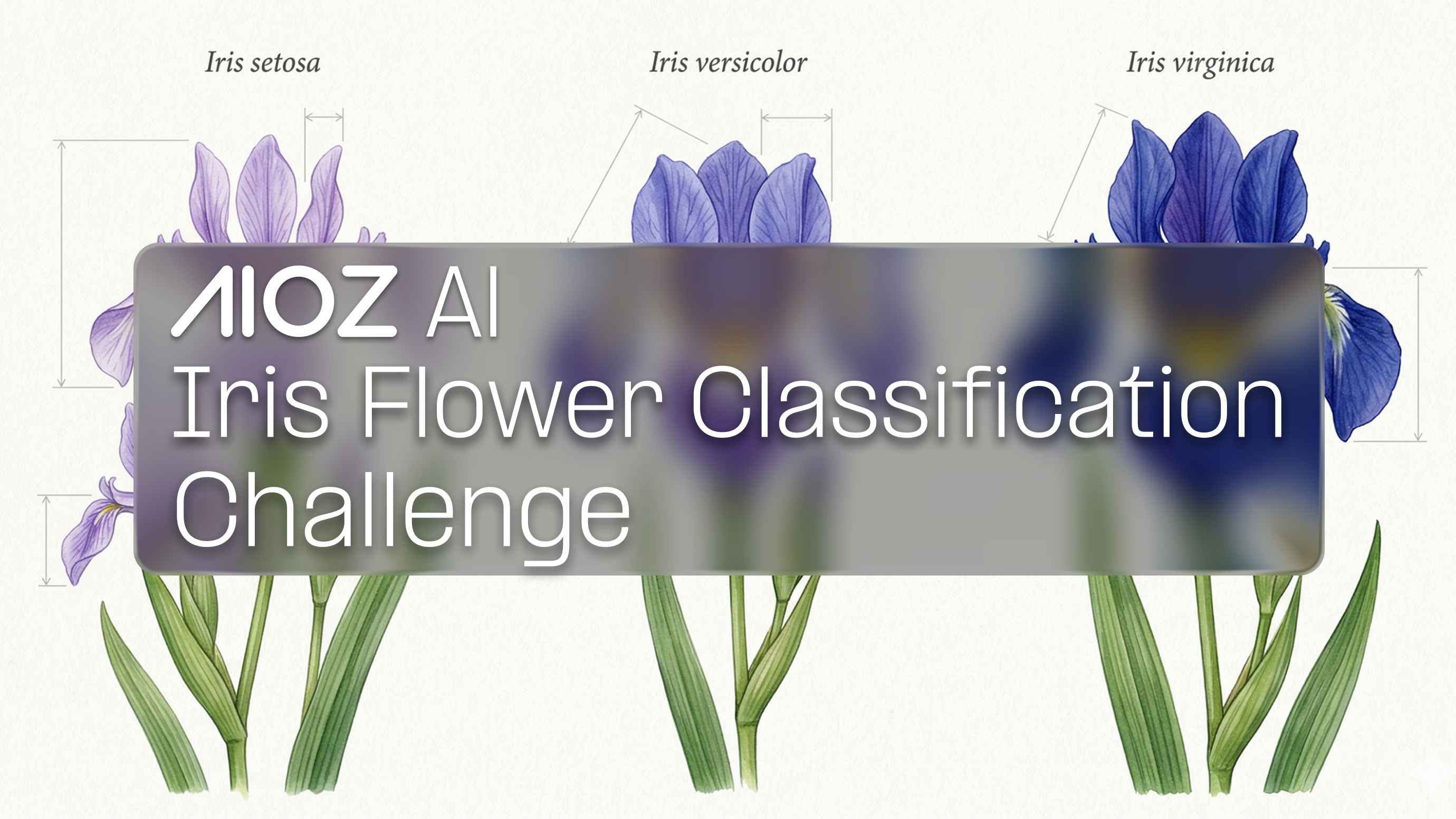 Iris Flower Classification Challenge