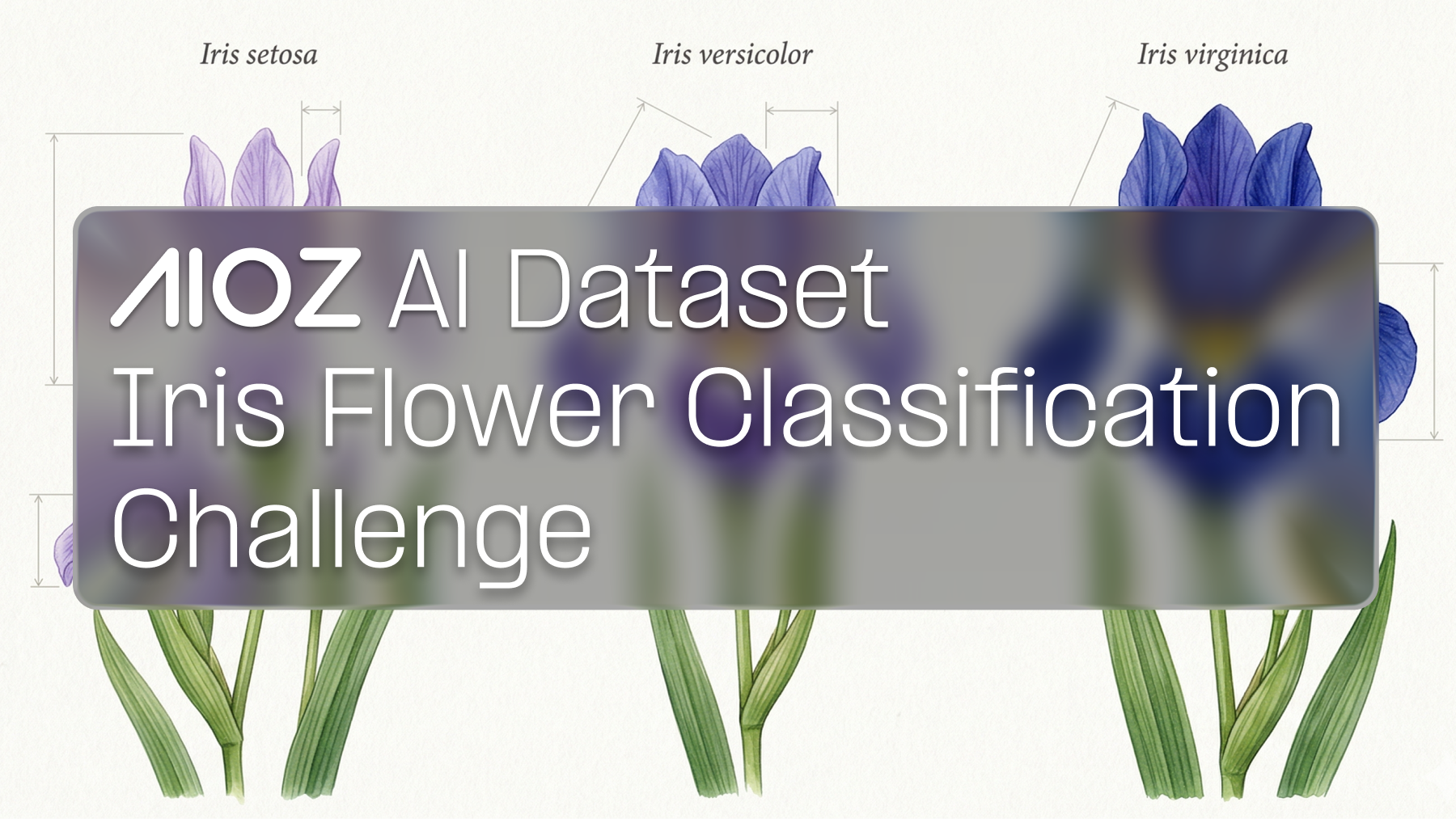 Iris_Flower_Dataset